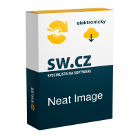 Neat Image 8 Pro, Standalone